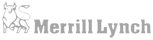 Valuation Spreadsheet Merrill Lynch